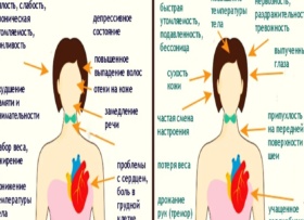 🛌 Щитовидная железа и женское здоровье: когда усталость, лишний вес и отёки — не просто возраст