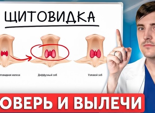 Щитовидная железа: как понять, что есть проблемы и какие анализы нужно сдать