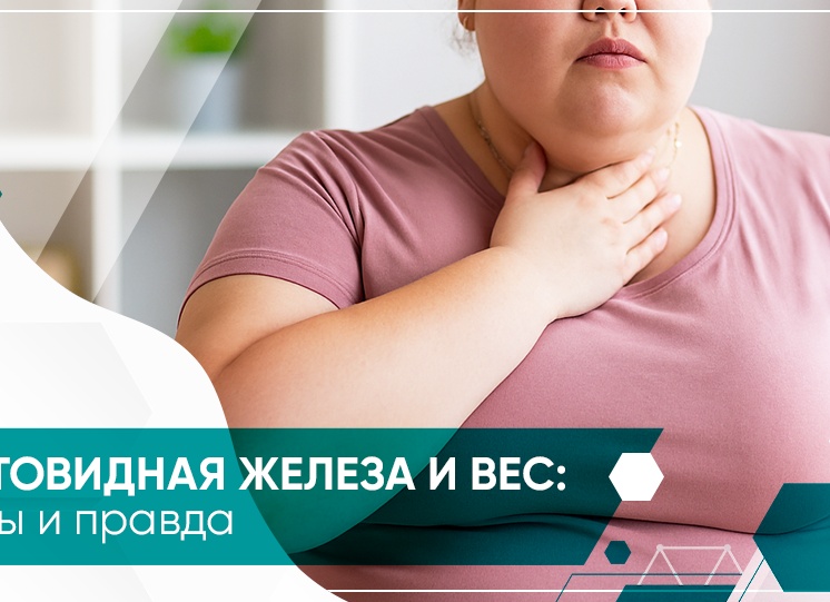 Щитовидная железа- как маленький орган влияет на большое здоровье