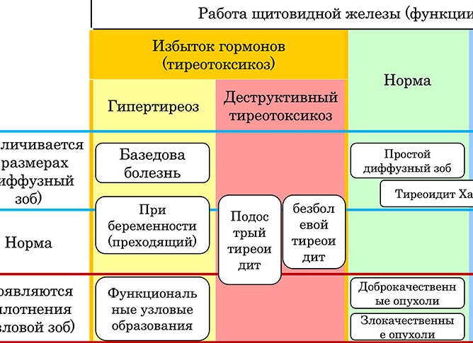 Заболевания щитовидной железы: виды, симптомы и маски болезней