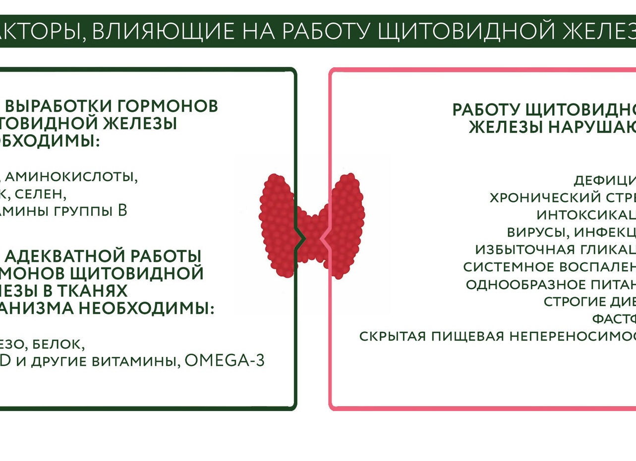 Как болезни щитовидной железы нарушают работу ЖКТ и всего организма?