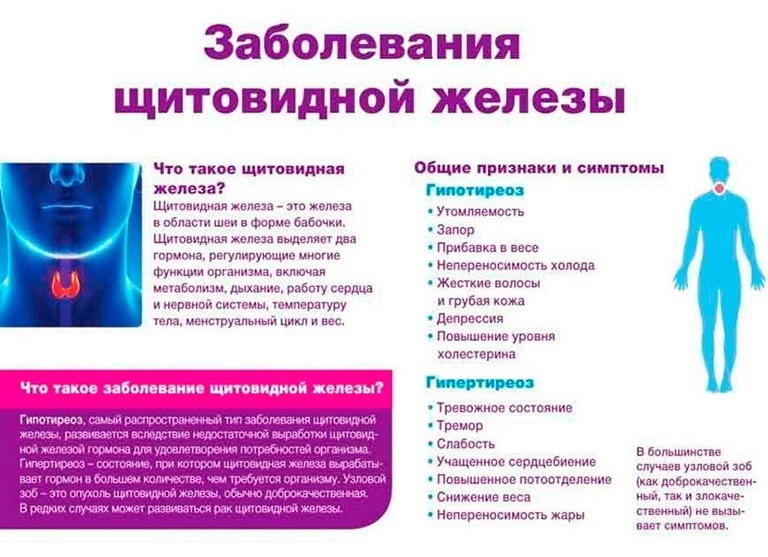 Признаки заболевания щитовидной железы, при которых лучше пройти обследование как можно скорее