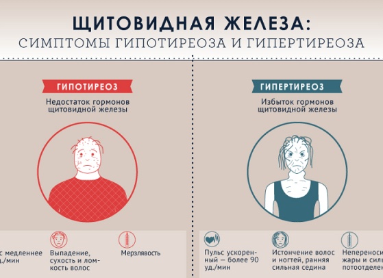 🧬 Щитовидная железа и жара: Как лето влияет на гормоны и самочувствие, и почему важно пройти УЗИ щитовидной железы вовремя