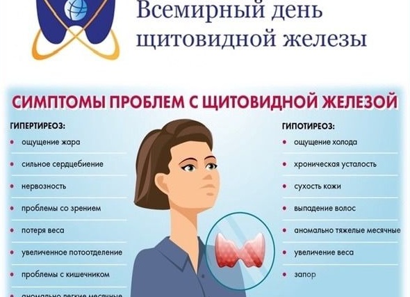 Как влияет щитовидная железа на зачатие?