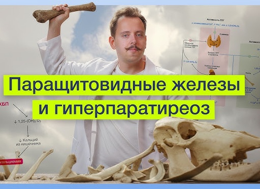 Щитовидная железа. Маленькая да удаленькая.