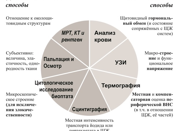 Способы диагностики щитовидной железы - какие и для чего