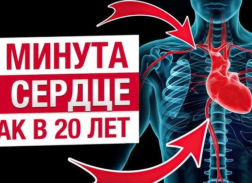 Основные причины и признаки проблем с щитовидной железой у женщин